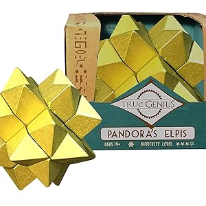 Amazon.com: Project Genius Tg135 Brain Teaser Puzzle, Wooden