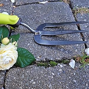 old farmer's almanac