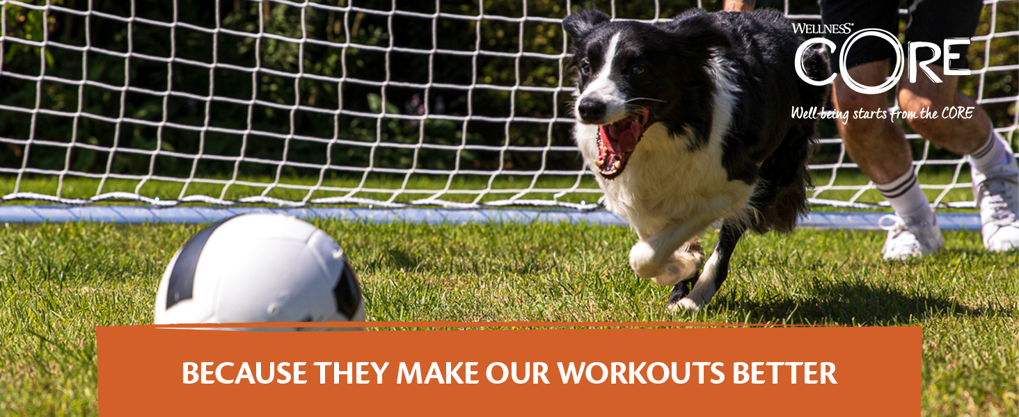 Wellness CORE Active Life Dry Dog Food