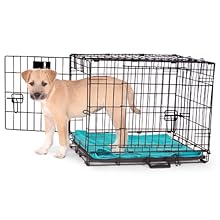 Crate training
