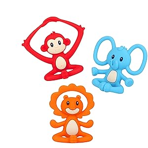 animals