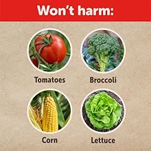 Small manufacture image 8