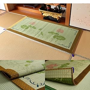 NEWS - びいこさま専用 舞扇子 横ぼかし各色 白骨 【箱なし】 「サイズ変更できます