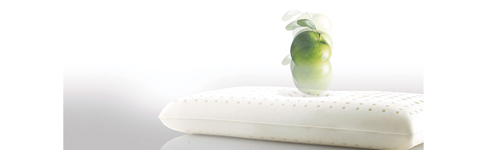 Sealy(シーリー) 枕 ラテックスピロー エルゴノミック 正規店購入品 楽天市場】【正規販売店】シーリー 枕 ラテックスピロー