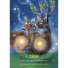 deer