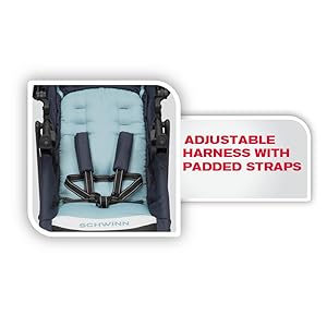 schwinn interval jogging stroller