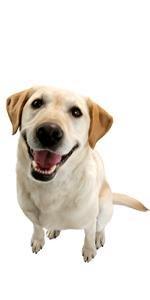 beb9d417 95a0 4851 821f 1018497cff08. SR150,300