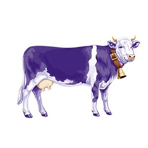 Milka Kuh