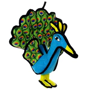 tuffy peacock