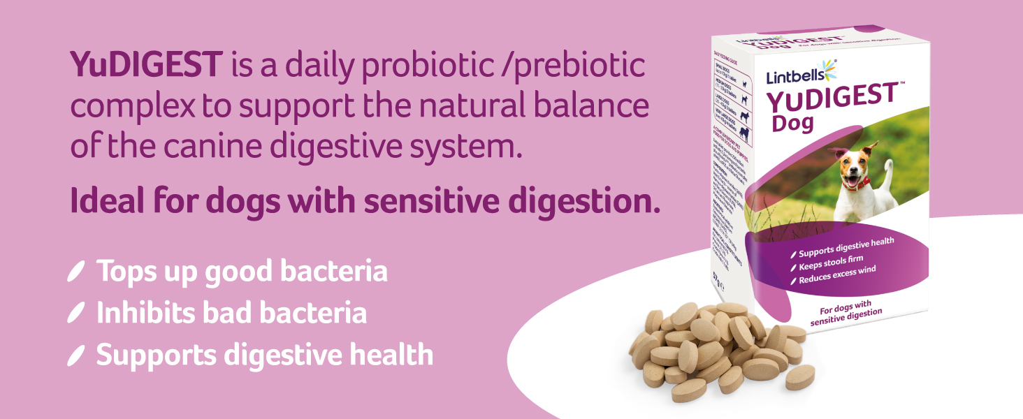 Lintbells YuDIGEST Dog Digestive Health Supplement for Dogs Prone to