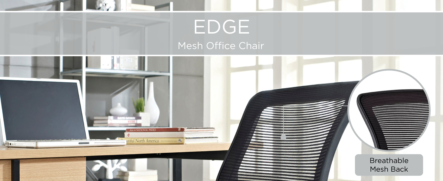 Modway Edge Mesh Back and White Vinyl Seat Office Chair