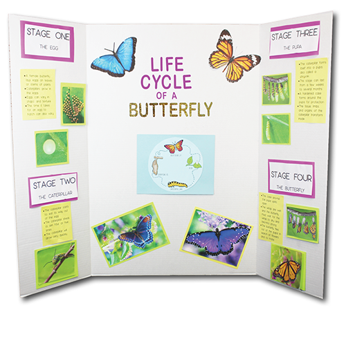 Flipside Products 30046 Project Display Board, White (Pack of 24