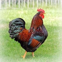 Small manufacture image 4