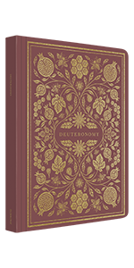 ESV Illuminated Scripture Journal: Deuteronomy
