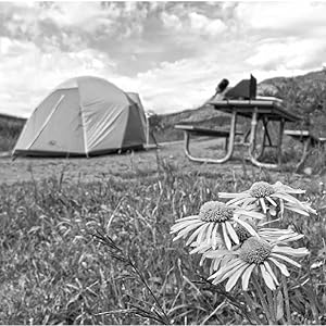 Moon Colorado Camping