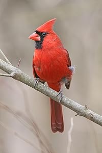 Small manufacture image 7