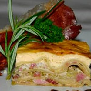 lasagne