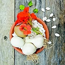 Small manufacture image 6