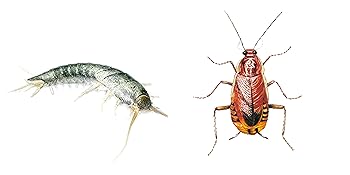 Small manufacture image 3