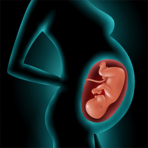Prenatal Essentials choline fetal neural development DHA fetal brain & spinal development
