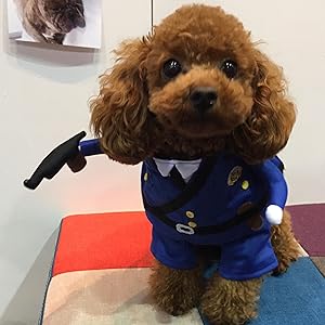Amazon | ペティオ (Petio) 変身着ぐるみウェア 金太郎 犬用 S