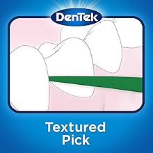 Dentek Fresh Clean Floss Picks