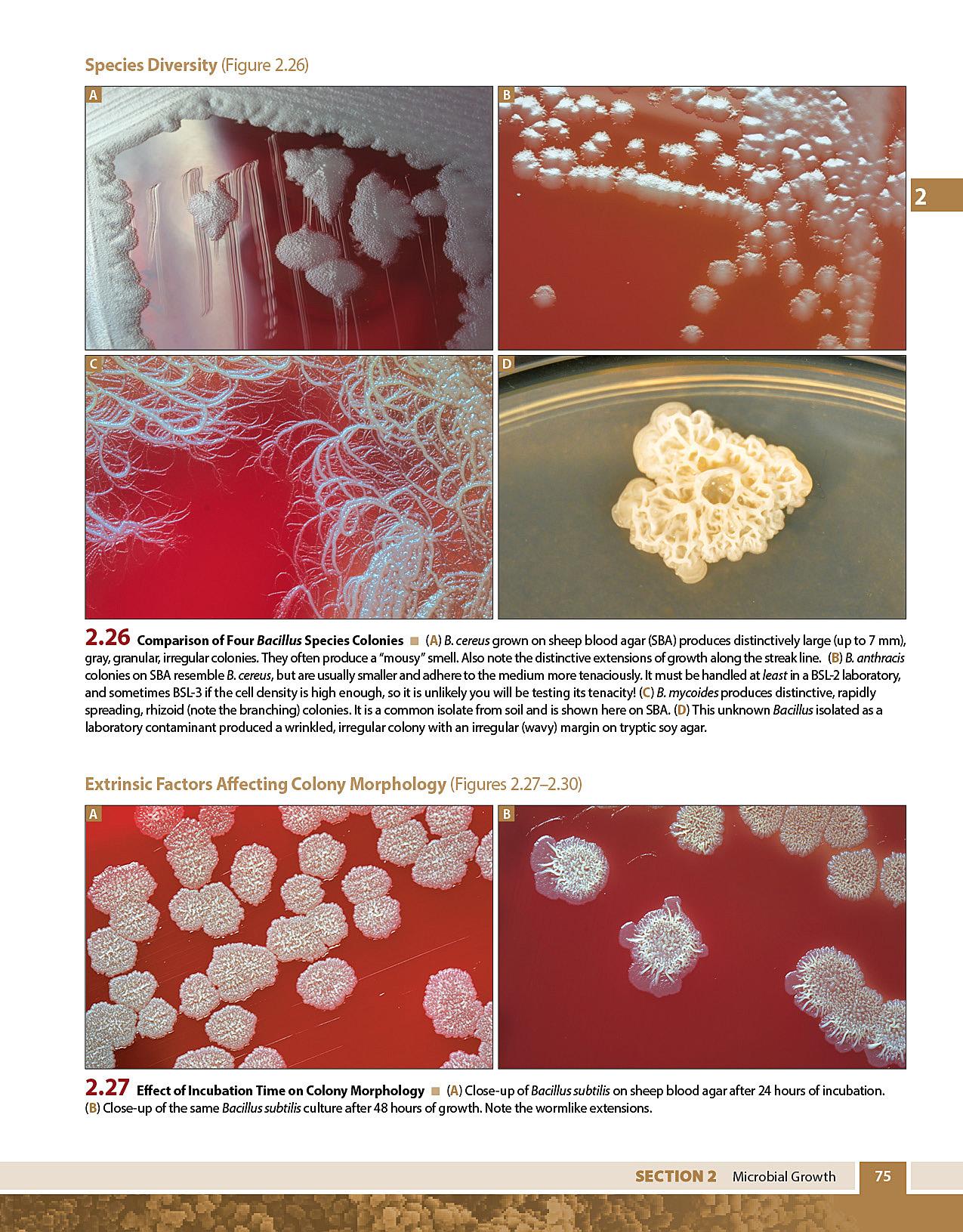 book рузоведение программа дисциплины контрольные задания