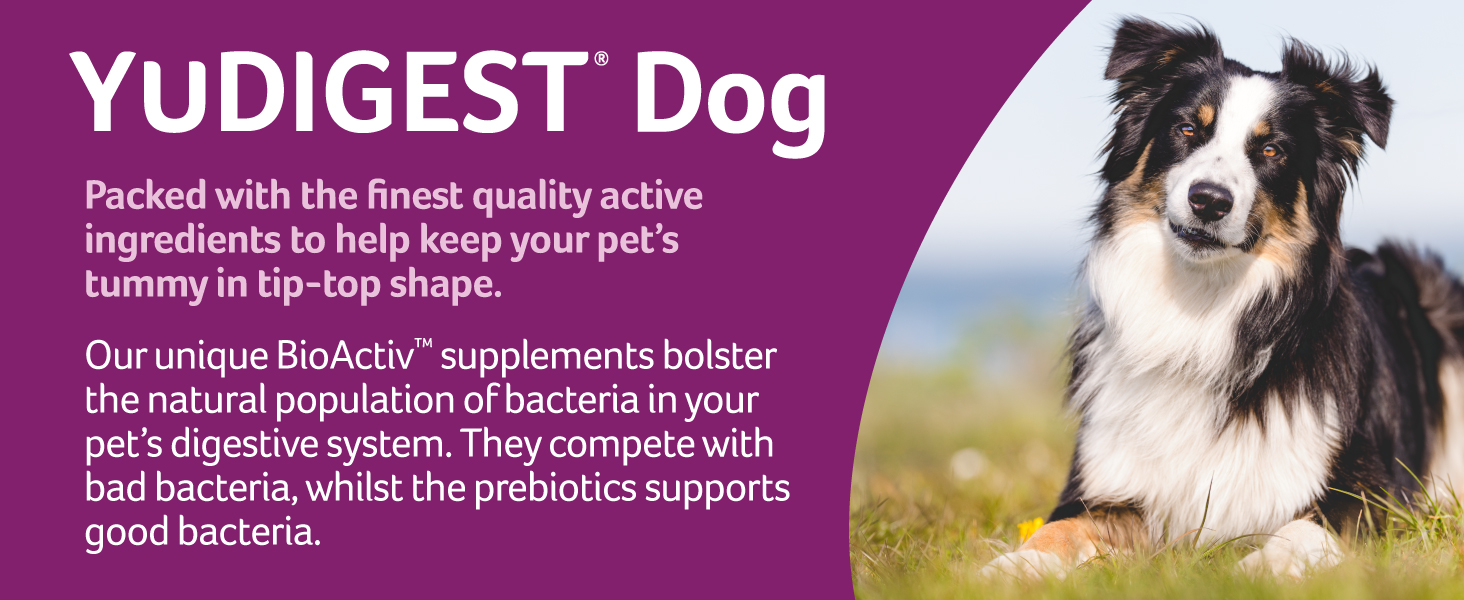 Lintbells YuDIGEST Dog Digestive Health Supplement for Dogs Prone to
