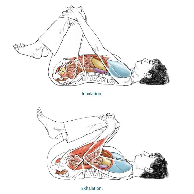 Yoga Anatomy2nd Edition Leslie Kaminoff, Amy Matthews 0783324853148