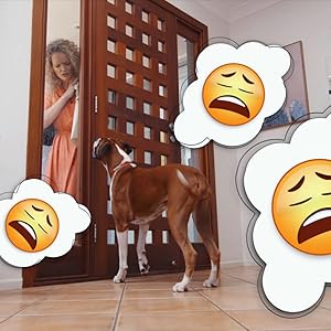 dog, boxer dog, pet owner, sad dog, stressed dog, anxious dog