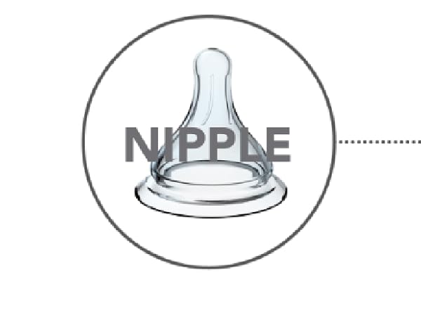 nipple