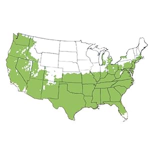 USDA Zone Map 6-9