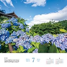 7月　夏の予感