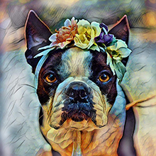 digitalart;digitalpainting;photoart;photopainting;digitalpainting;digitalartforbeginners;professiona