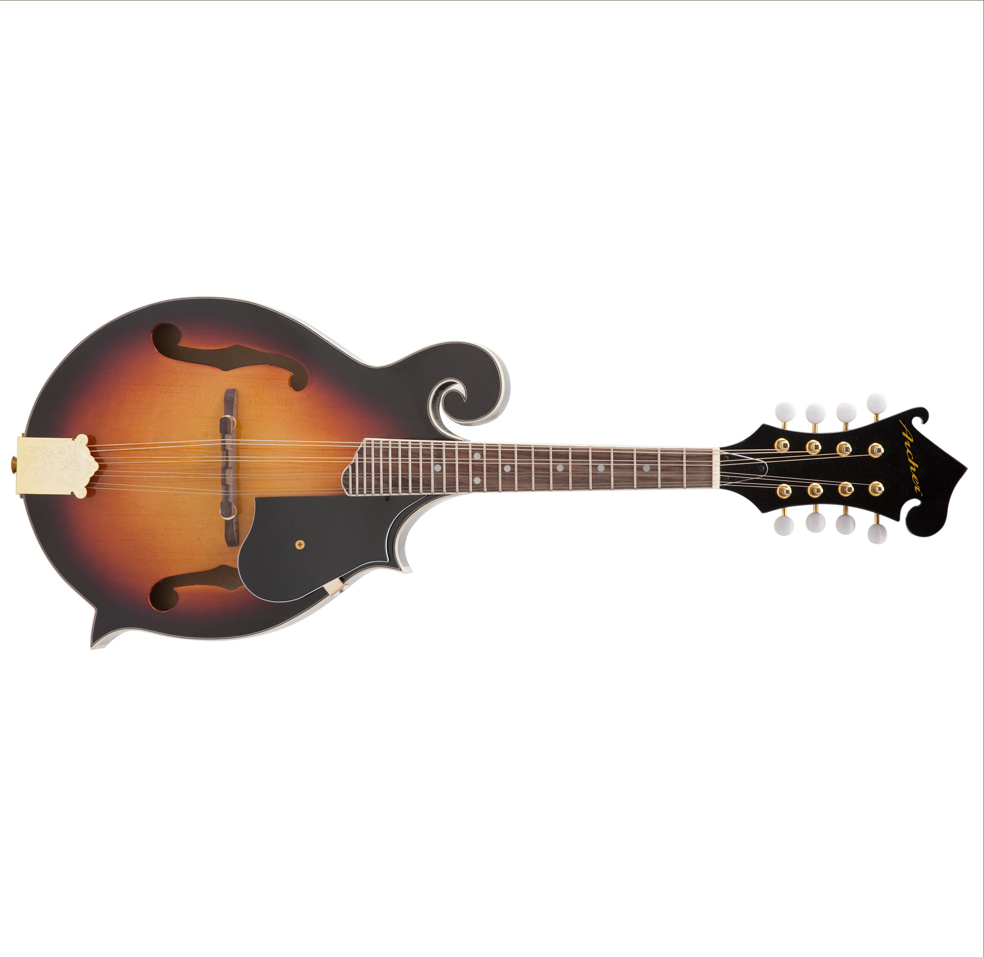 Archer EMA5 Telluride FStyle Mandolin Amazon.ca Musical Instruments