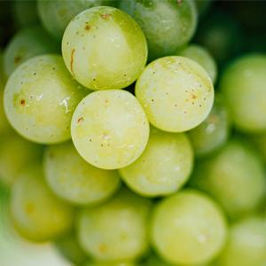 Vinanza Grape and Kiwi