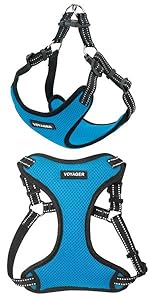 Voyager Dog Harness All Weather Mesh | Dog Harness