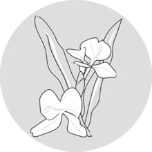 Peter Thomas Roth, butterfly ginger root, ingredients, Vital-E Microbiome Age Defense Eye Cream