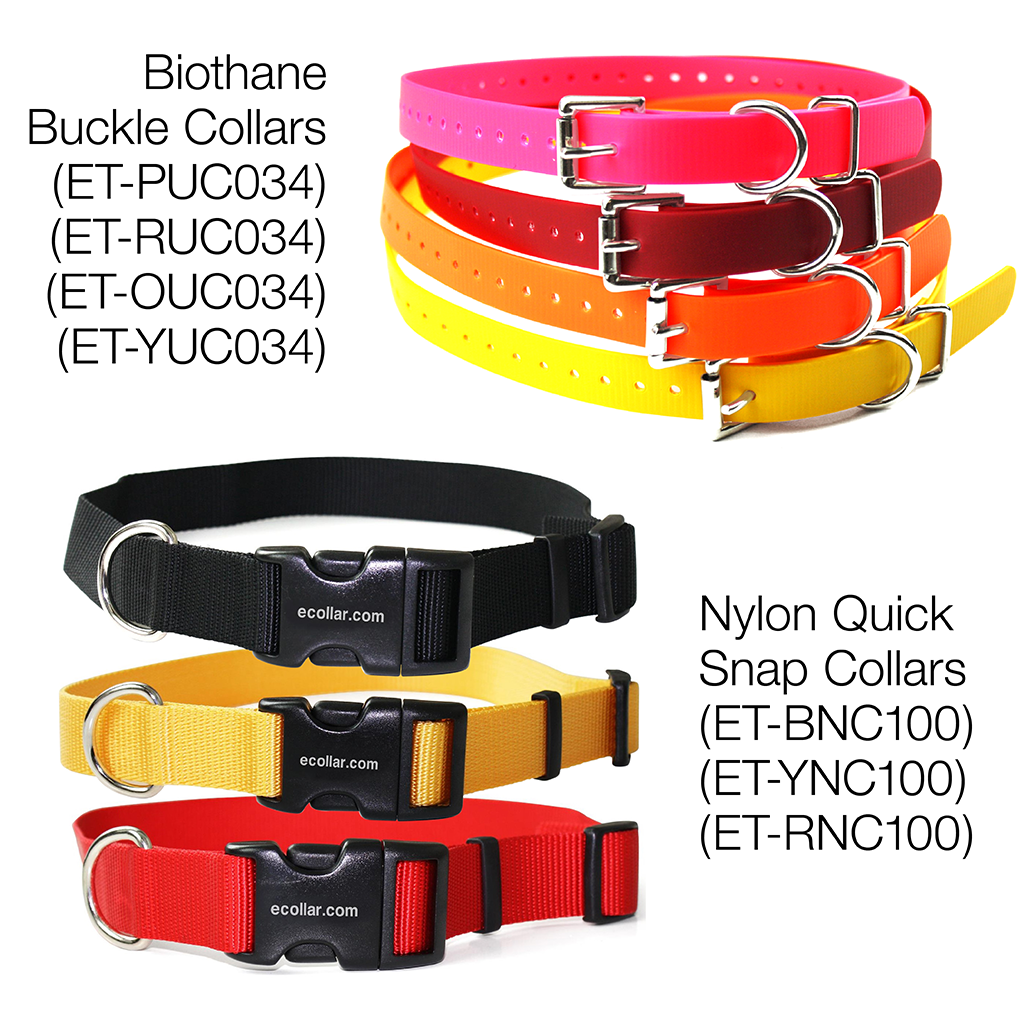 Educator eCollar Safe Humane Mini Remote StressFree Dog Training