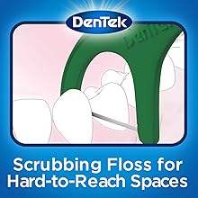 Dentek Fresh Clean Floss Picks