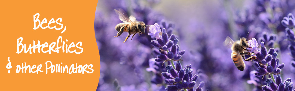 Small manufacture image 12