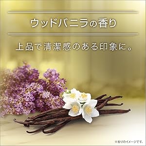 【AXE】【アックス】ボディソープ ウッドバニラの香り 2025年最新】axe ボディソープ ウッドバニラの人気アイテム