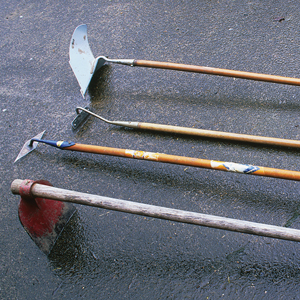 self-reliance, soil, prep, seed saving, garden, gardening, growing, organic, food, corn, potatoes