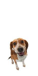 cfb1ea7a 0d77 40b6 82ea a3bbf8b193e7. SR150,300