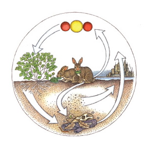 Small manufacture image 1