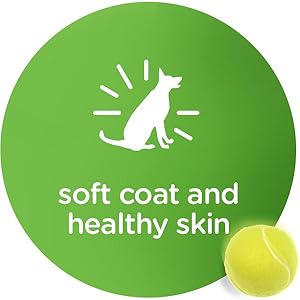 Dog Food Tray, Dog Bowl, Dog Food Plate, Canned Dog Food, Dog Food Can, Coat Health, Skin Health