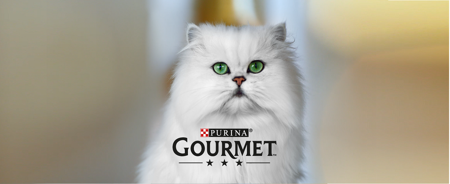 Gourmet Gold Melting Heart Cat Food, Salmon, Pack of 12 x 85g Amazon