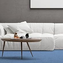 Pet stain remover; carpet cleaner; upholstery cleaner; fabric cleaner; rug cleaner; stain cleaner; r