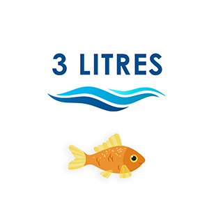 Transportieren Sie meinen Goldfisch, Aquarium, Transport, Rechteck, Aquarium, Kunststoff