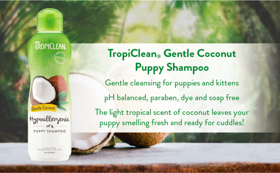 fragrance Cherry Blossom pure plum sweet mandarin aloe coconut whitening fruity moisturizes soothes